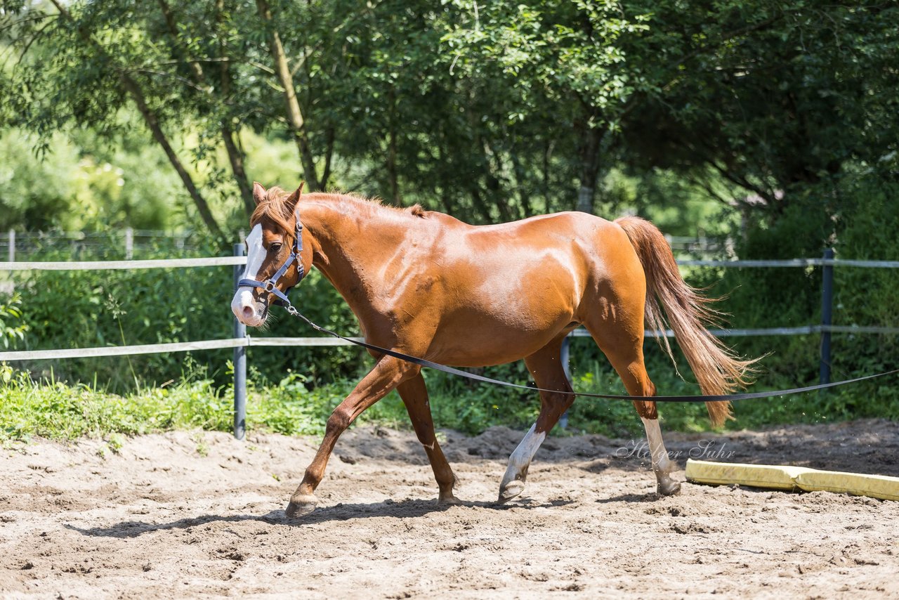 Bild 153 - Vivi